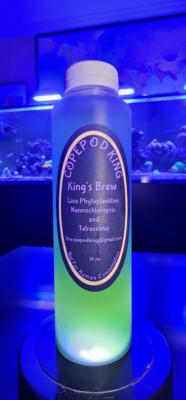 Live Phytoplankton 16 oz | Quantum Corals | Fresh & Salty Feed Live Phytoplankton 16 oz | Quantum Corals | Fresh & Salty Feed